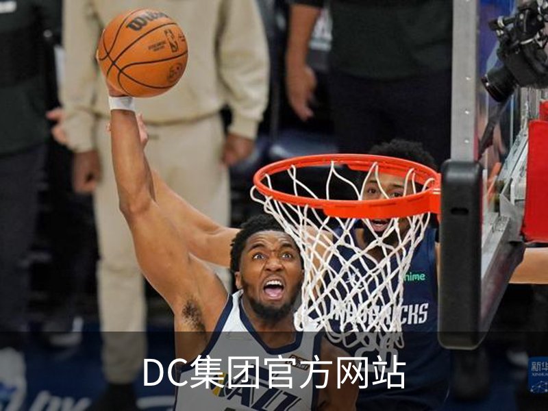 DC集团官方网站概况